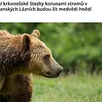 241 Prázdninový dům